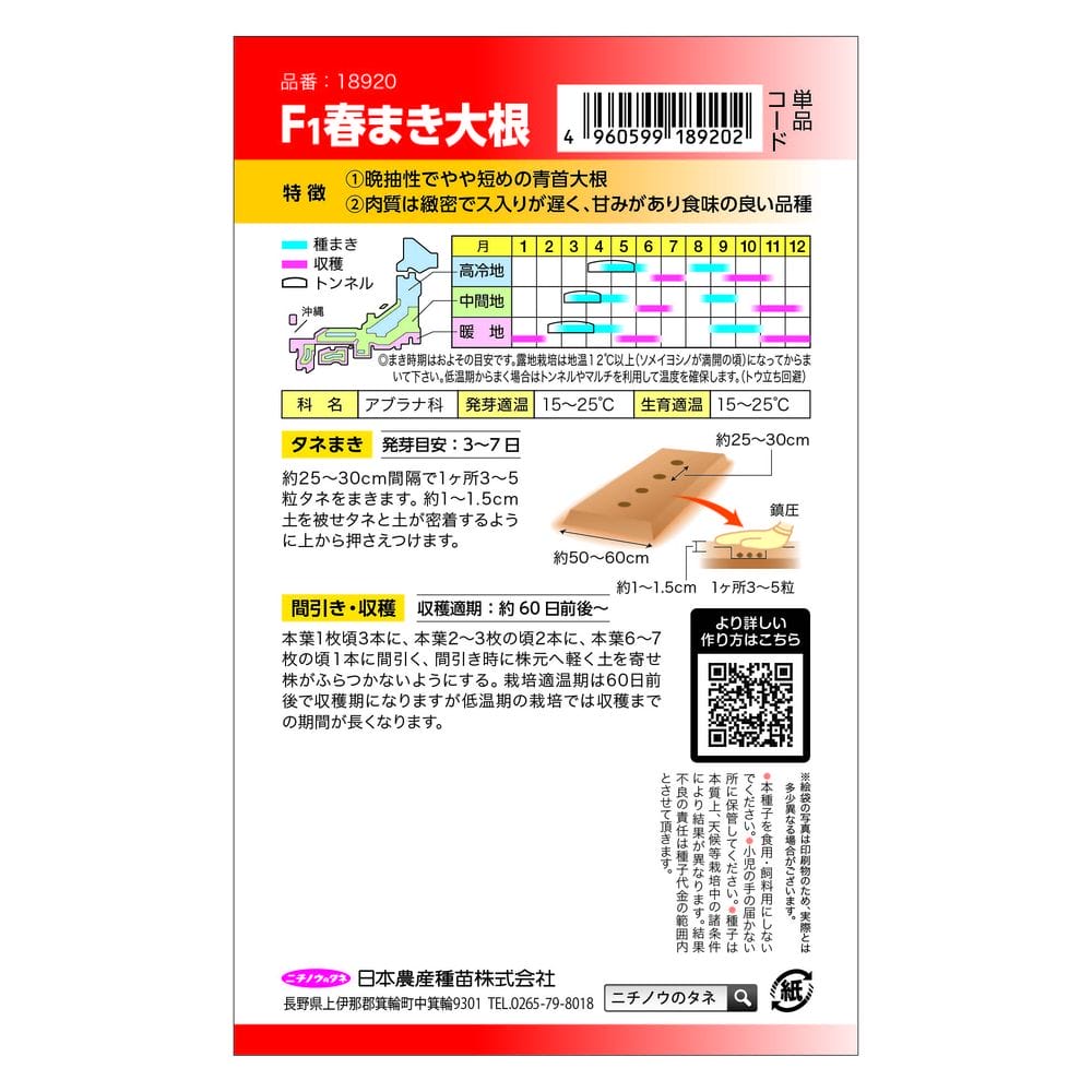 大根 春まき大根(青首･総太形) 1