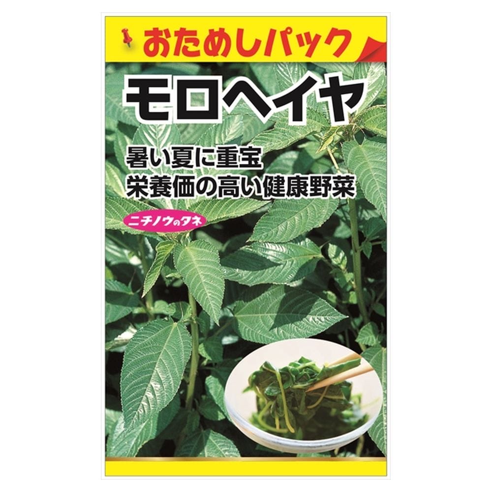 葉菜 モロヘイヤ 