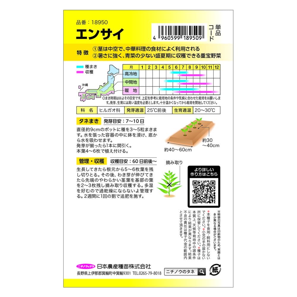 葉菜 エンサイ 1