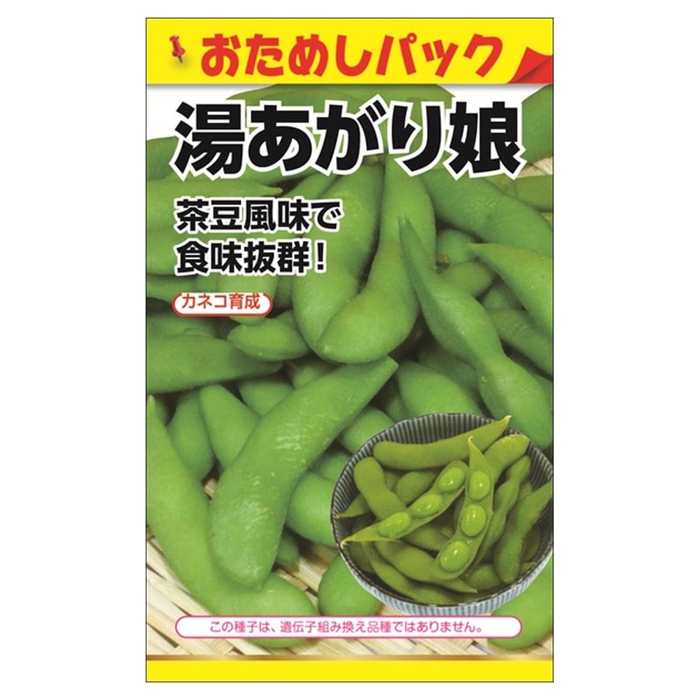 枝豆 湯あがり娘［登録品種：海外持出禁止（農林水産大臣公示有）］ 