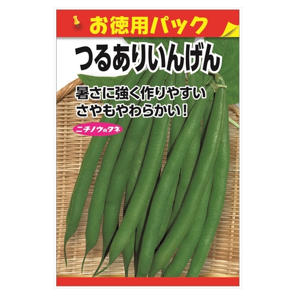 いんげん つるありいんげん（衣笠） 