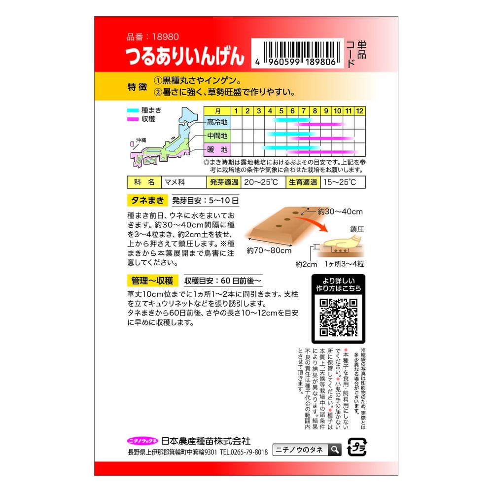 いんげん つるありいんげん（衣笠） 1