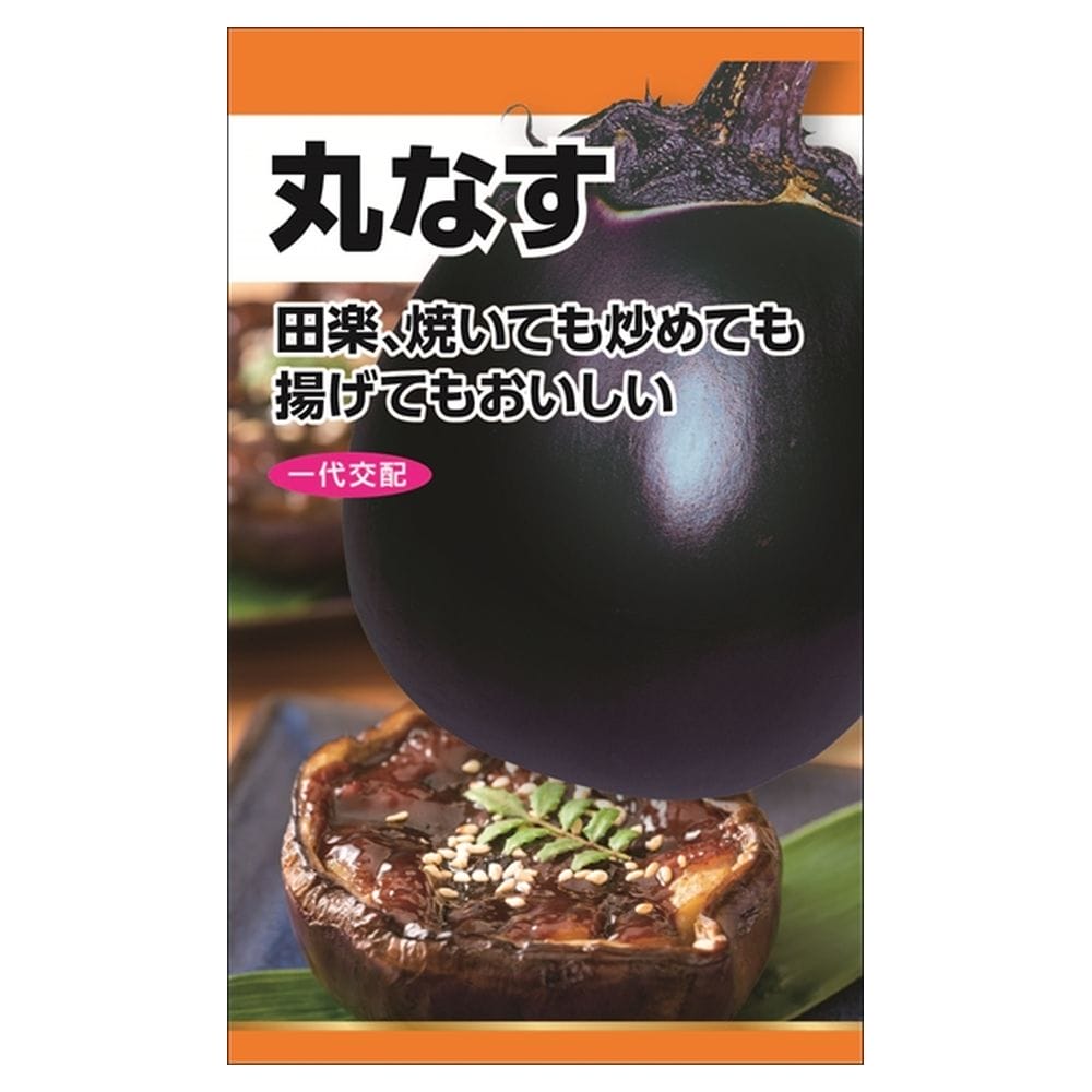 なす F1中長なす 