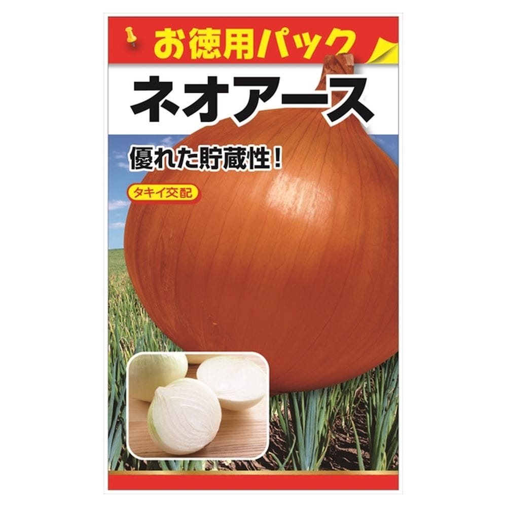 たまねぎ ネオアース 苗 おすすめ 苗木部 By 花ひろばオンライン