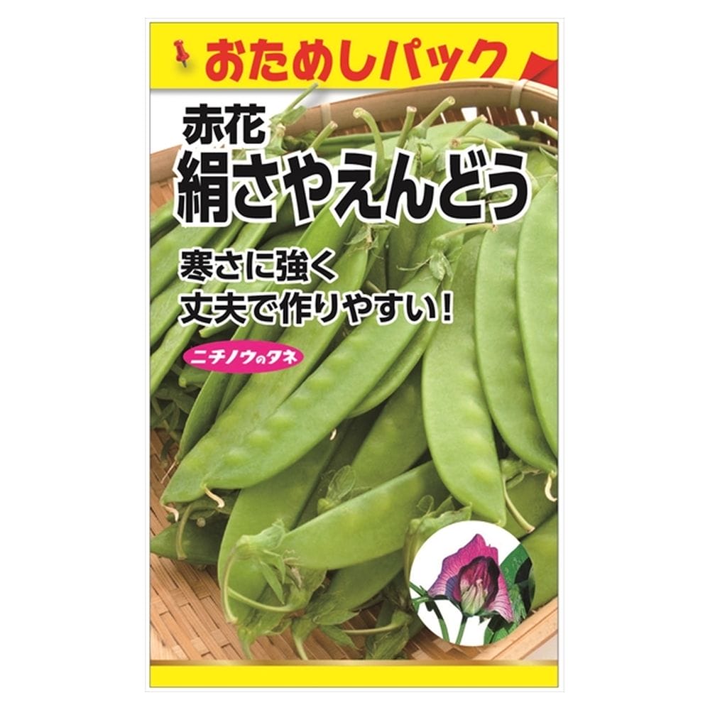 えんどう 赤花絹さやえんどう(つるあり) 苗 通販 苗木部 By 花ひろば