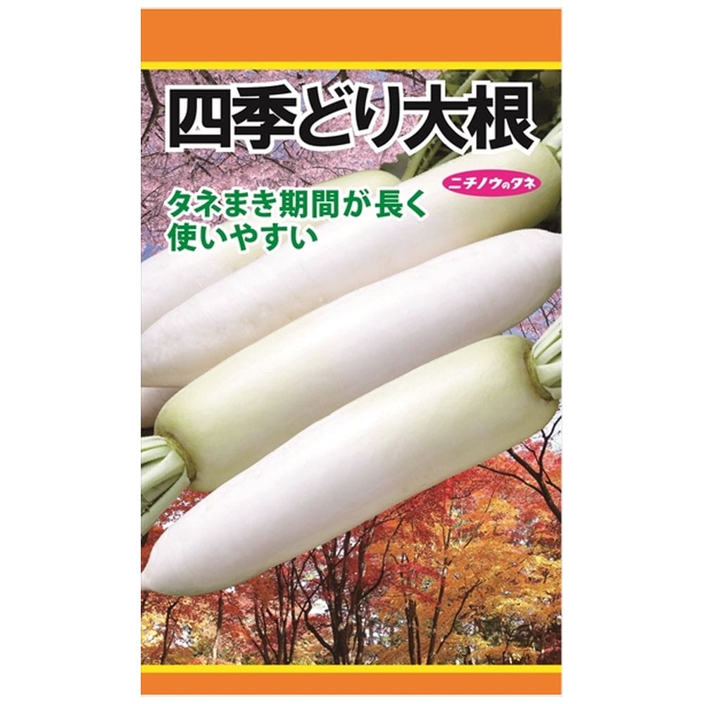 大根 四季どり大根 