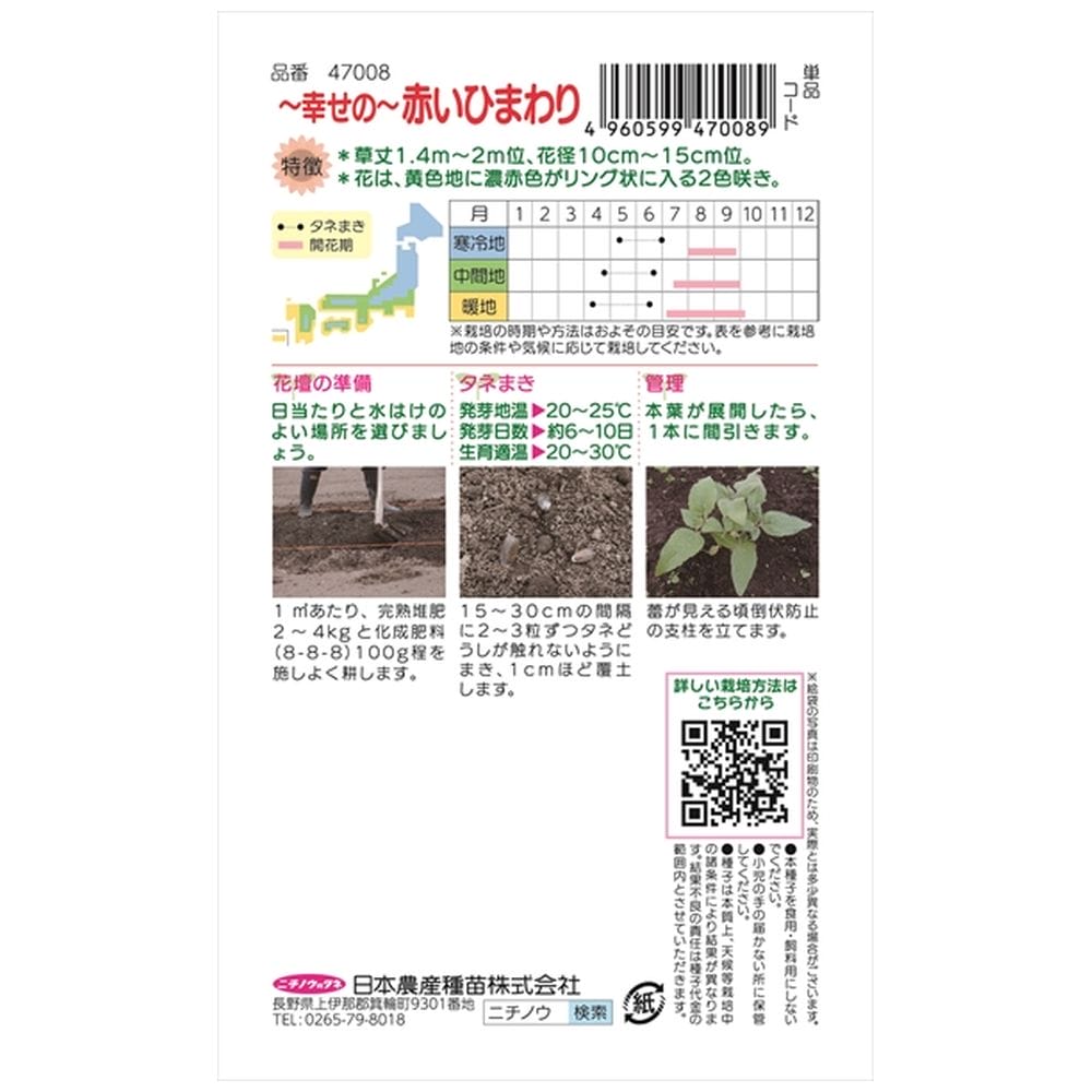 ひまわり 幸せの赤いひまわり 1