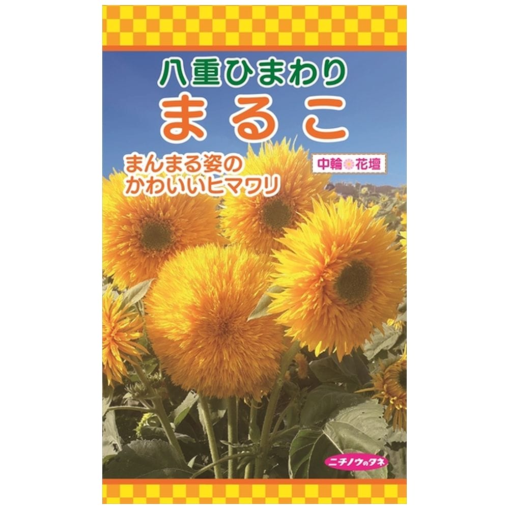 ひまわり まるこ 