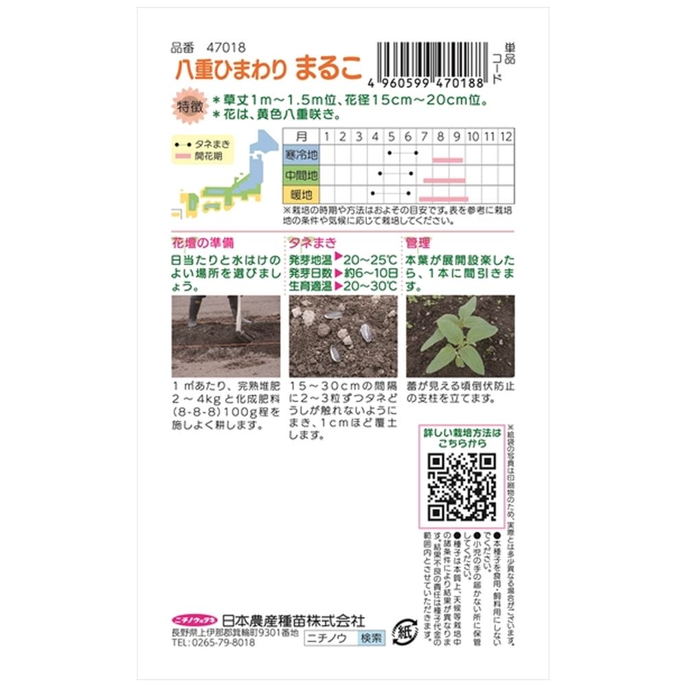 ひまわり まるこ 1