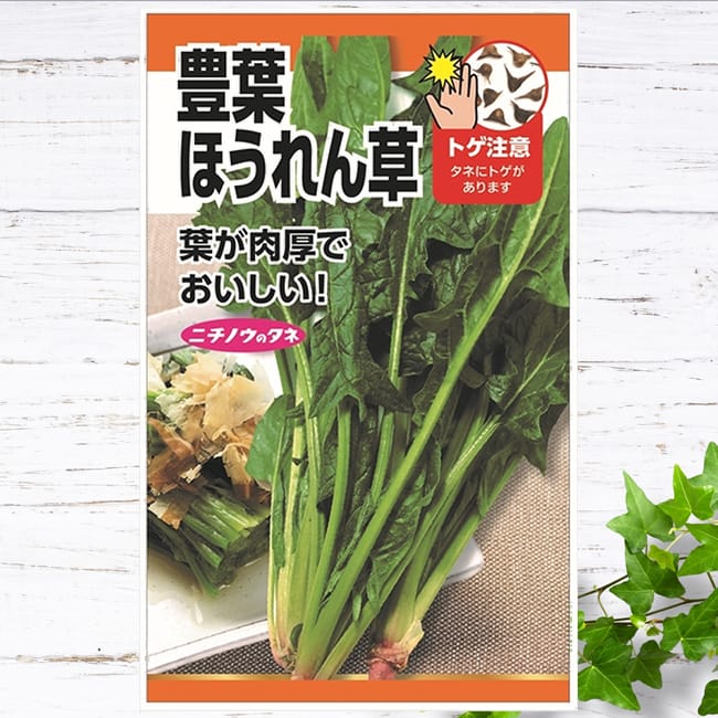 ホウレンソウ 豊葉ほうれん草 