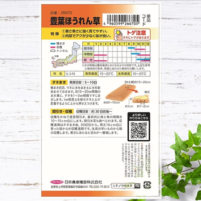 ホウレンソウ 豊葉ほうれん草 