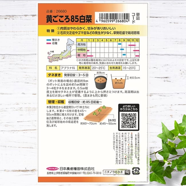 白菜 黄ごころ85日白菜 1