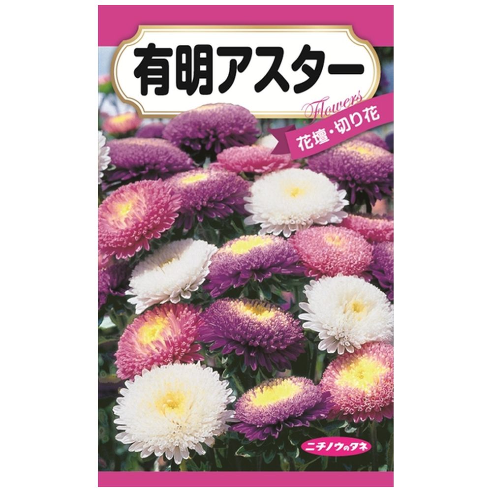 アスター 有明アスター 