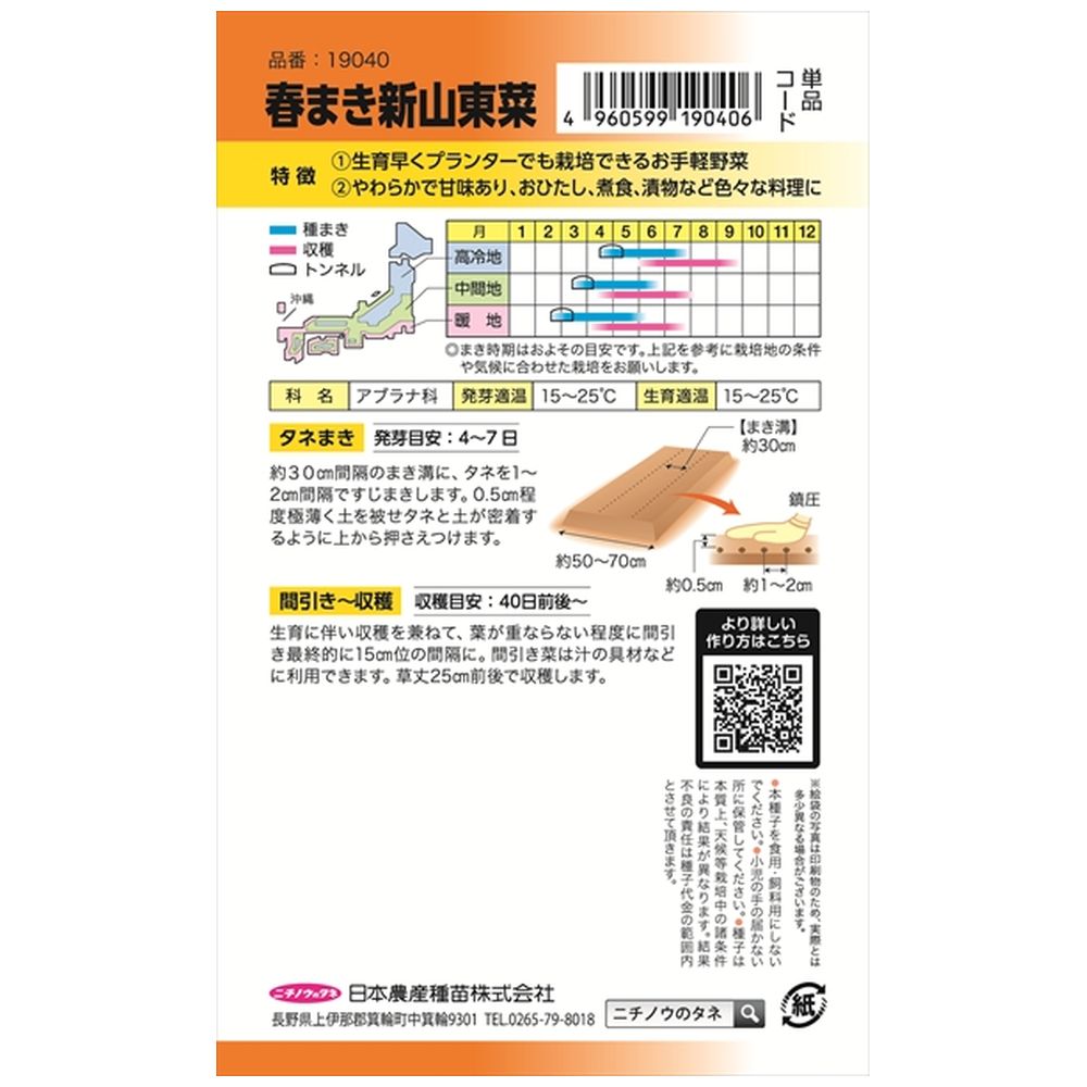 白菜 春まき新山東菜 1