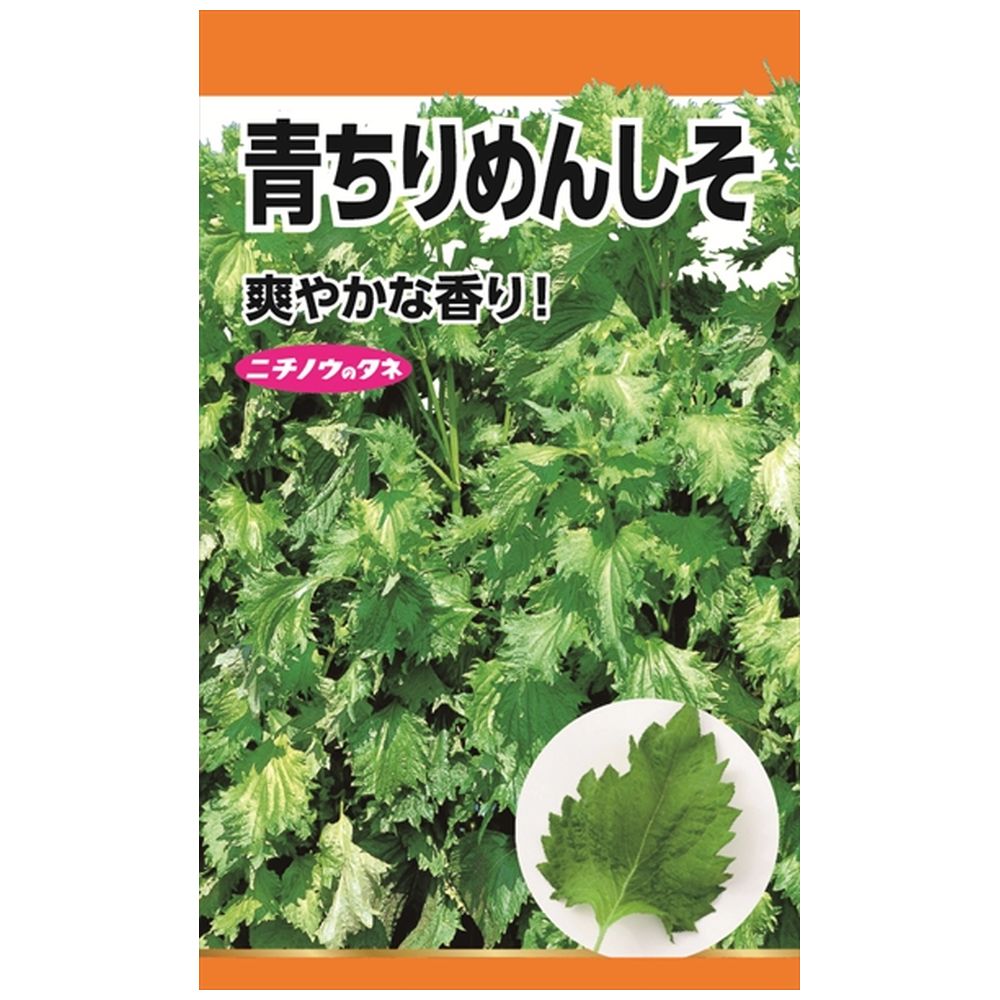 しそ 青ちりめんしそ 