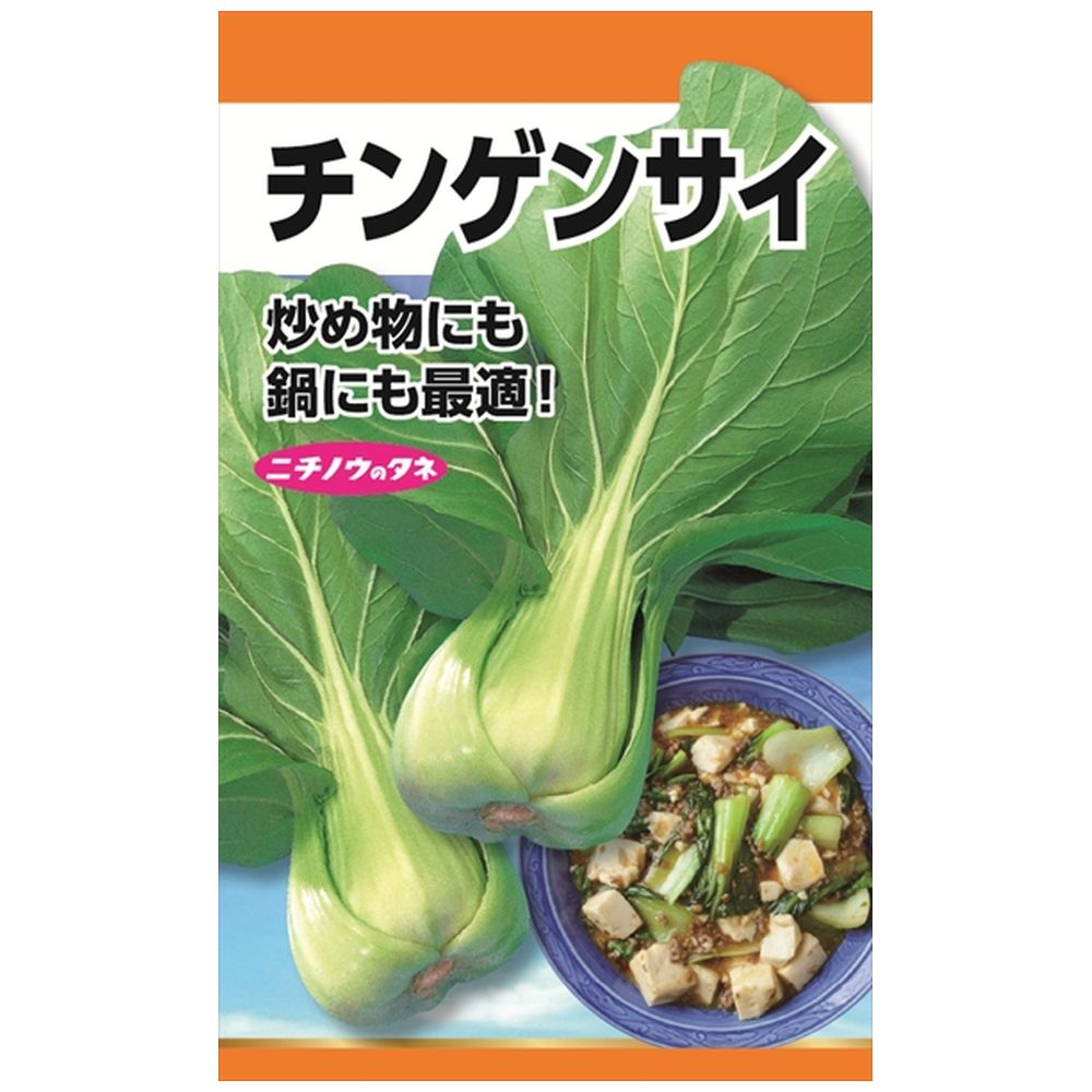 チンゲンサイ チンゲンサイ 