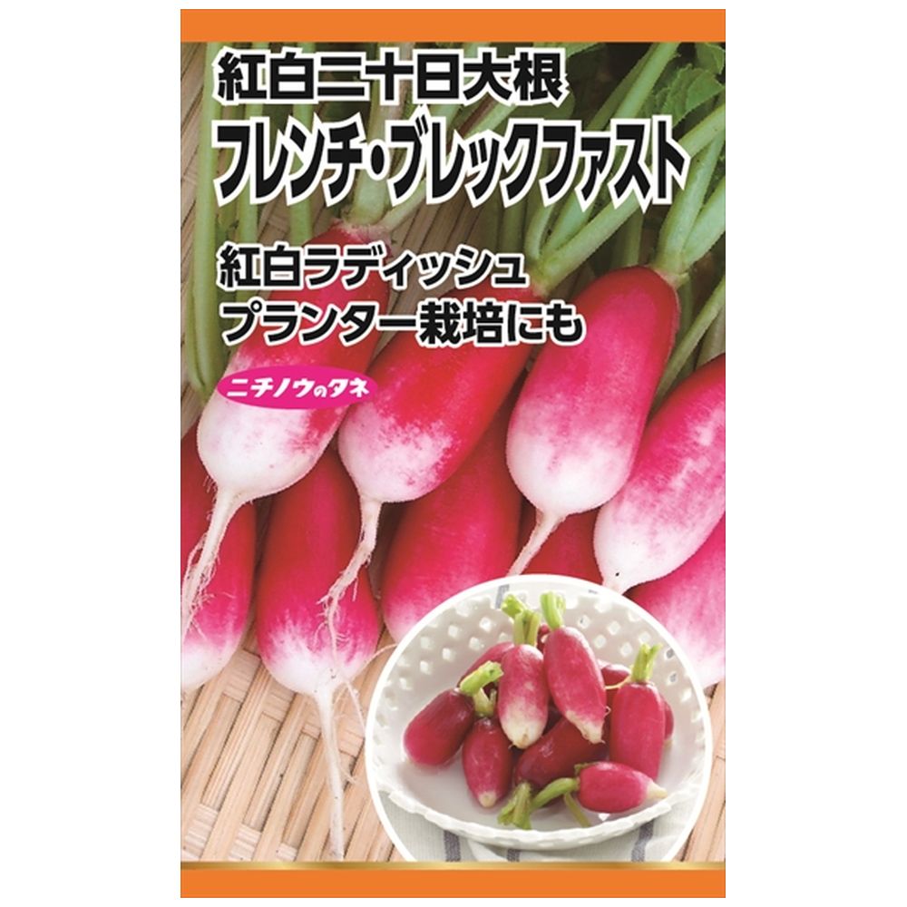 ラディッシュ フレンチ ブレックファスト 