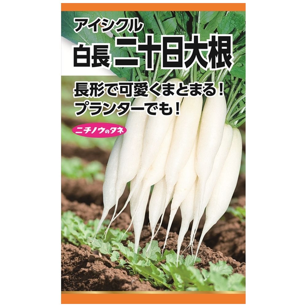 ラディッシュ アイシクル 