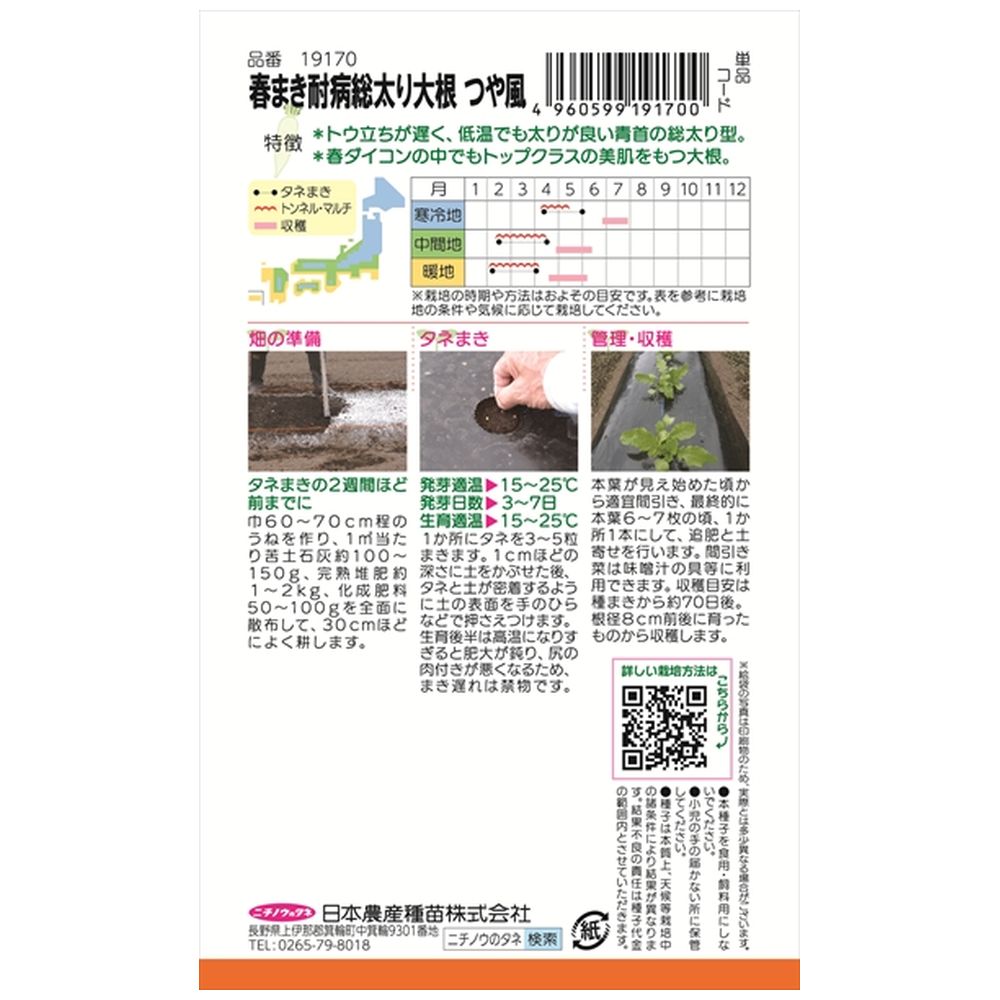 大根 春まき耐病総太り大根（つや風） 1