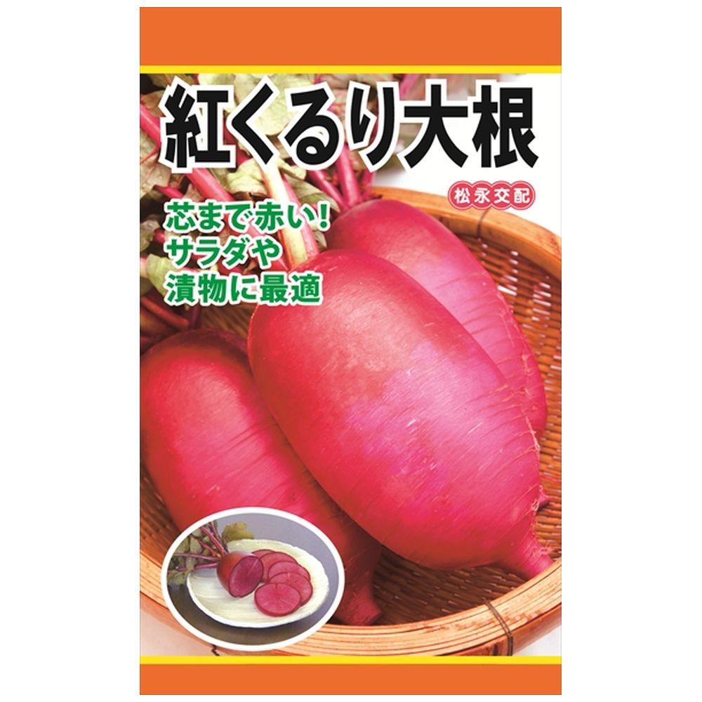 大根 紅くるり大根 