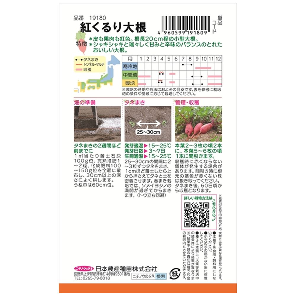 大根 紅くるり大根 1