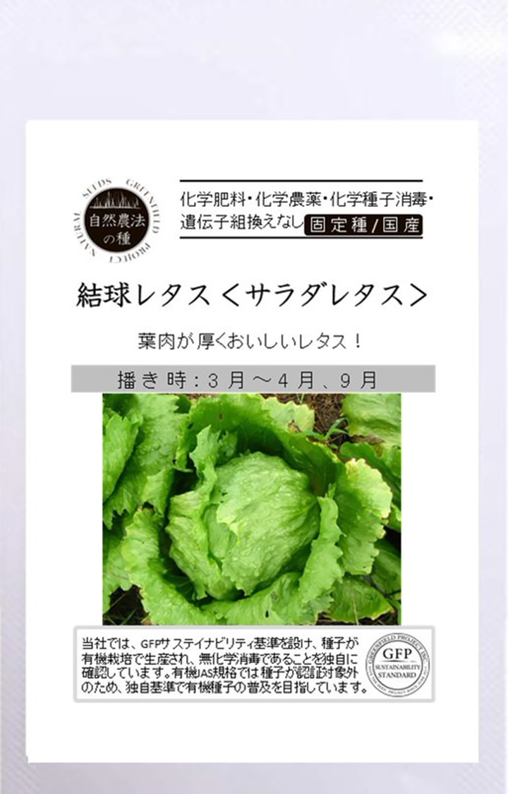 レタス 結球レタス 1