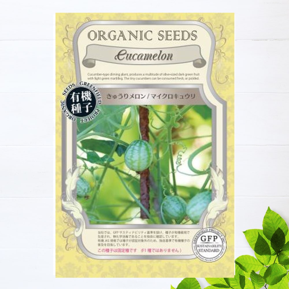 きゅうりメロン きゅうりメロン 
