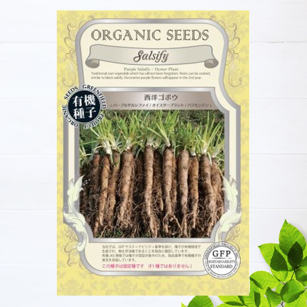 西洋ゴボウ パープルサルシファイ 