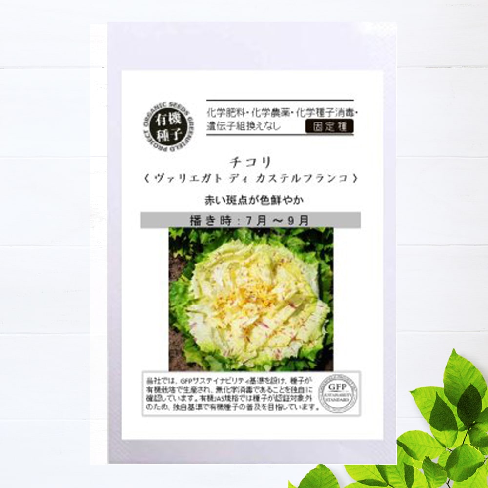 チコリ カステルフランコ 
