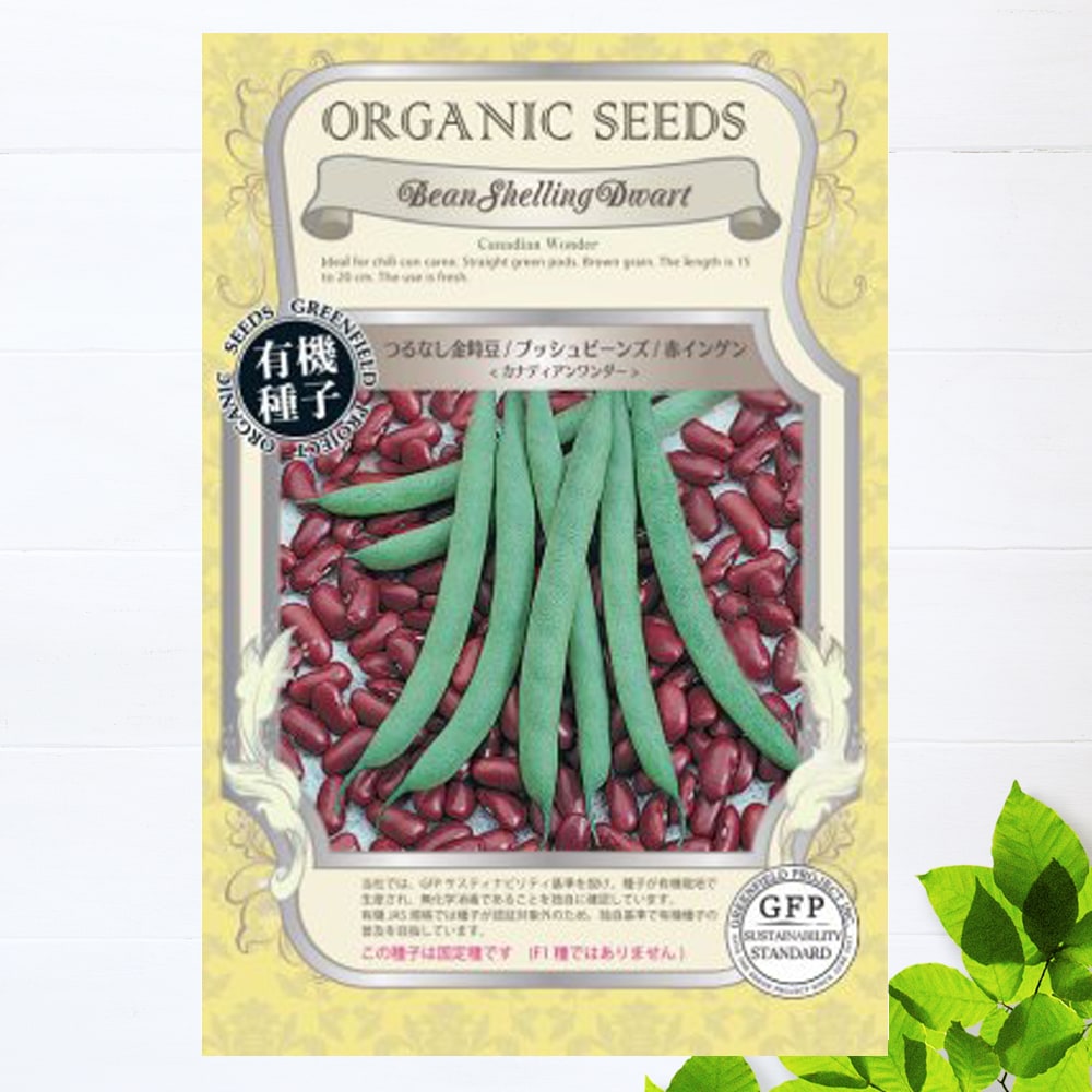 インゲン カナディアンワンダー