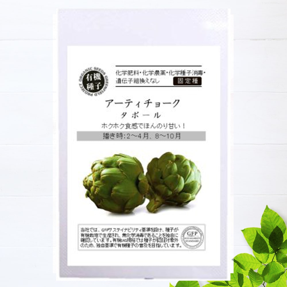 アーティチョーク タボール 
