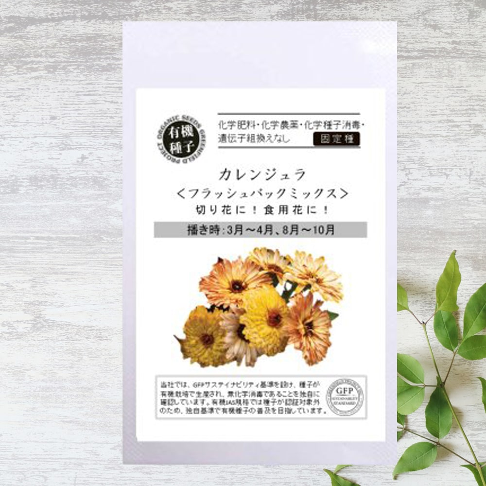 金盞花 フラッシュバックミックス 