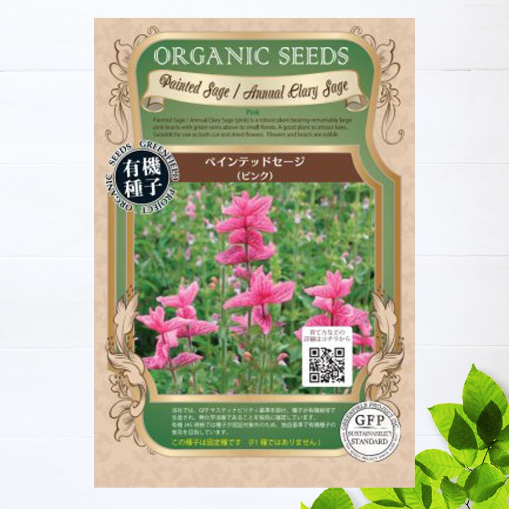 サルビア ペインテッドセージピンク 