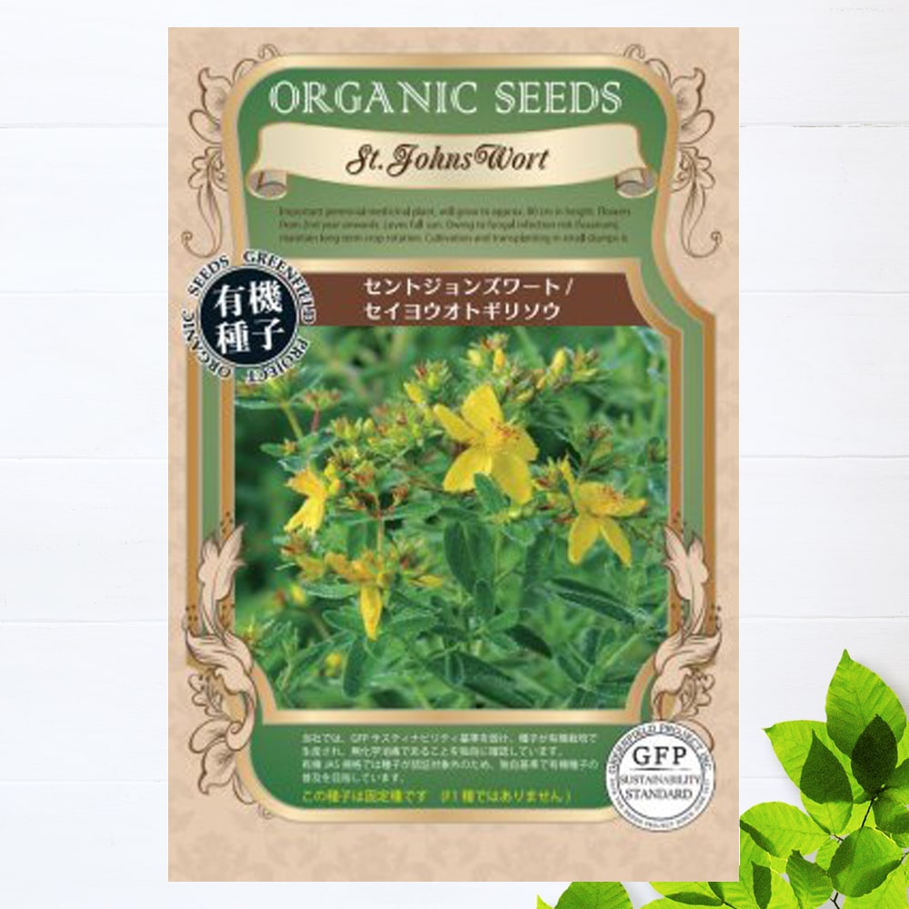 エキナセア エキナセア 