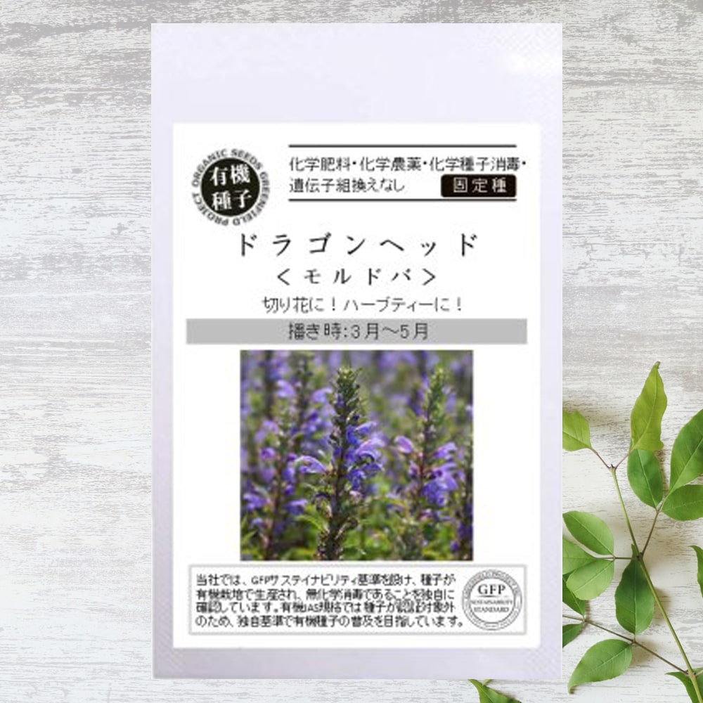 しそ ドラゴンヘッド  