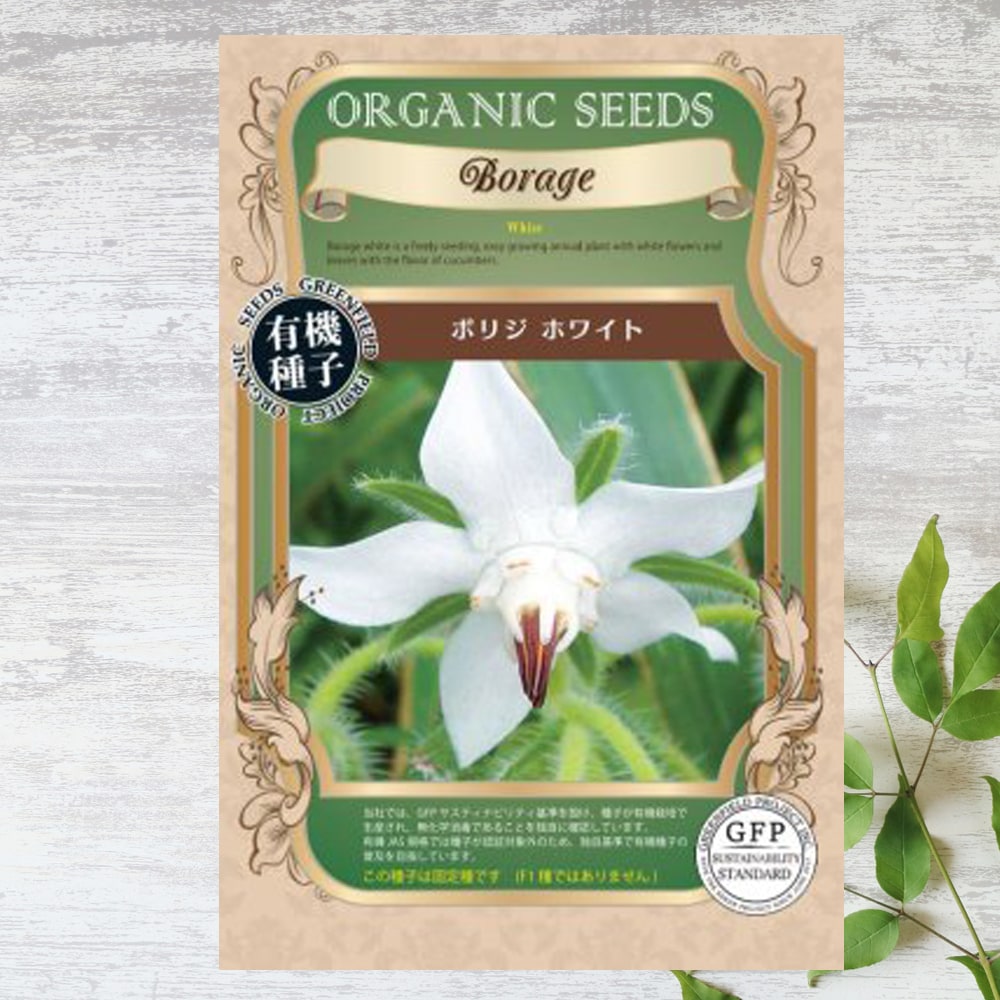 ボリジ ホワイト 