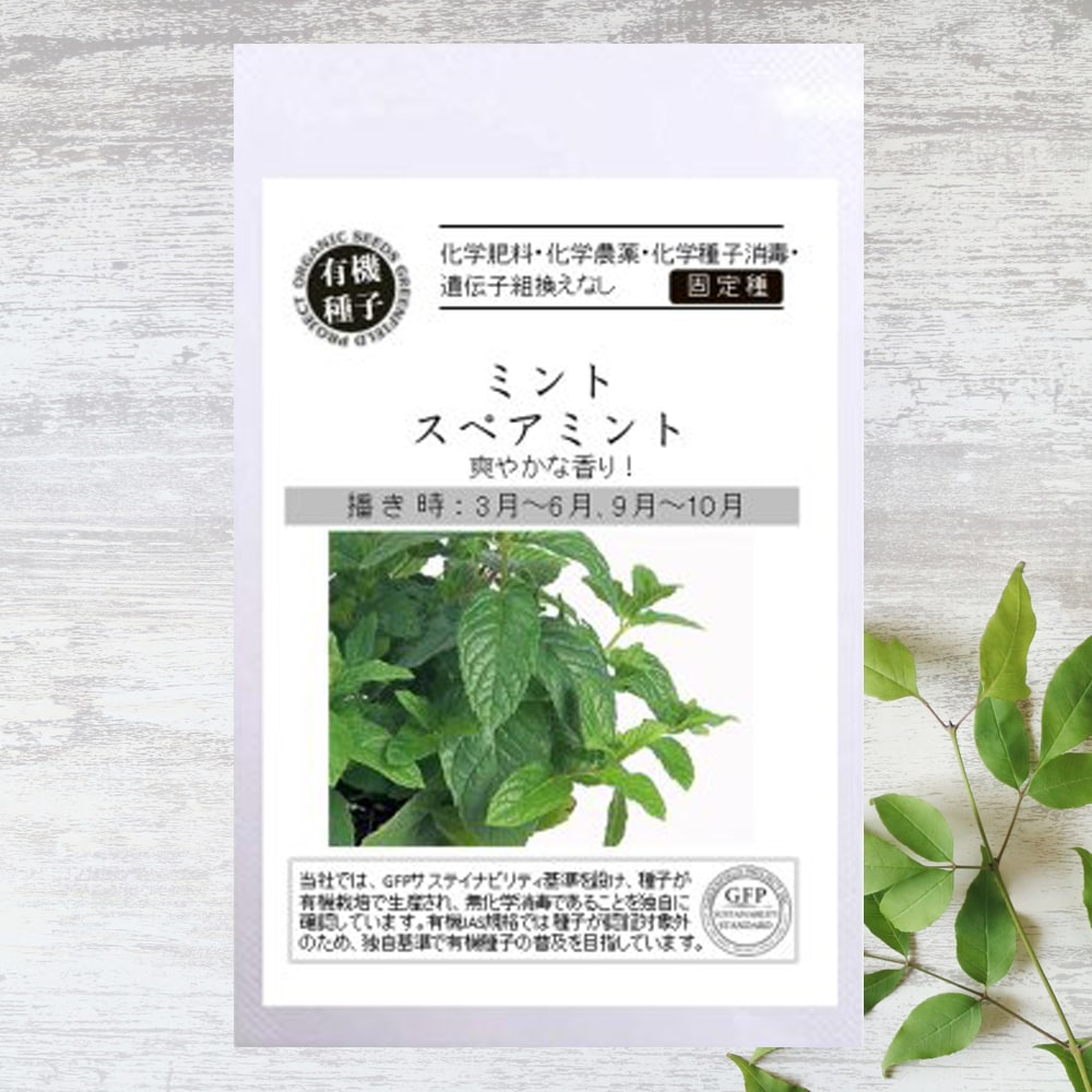 ミント スペアミント 