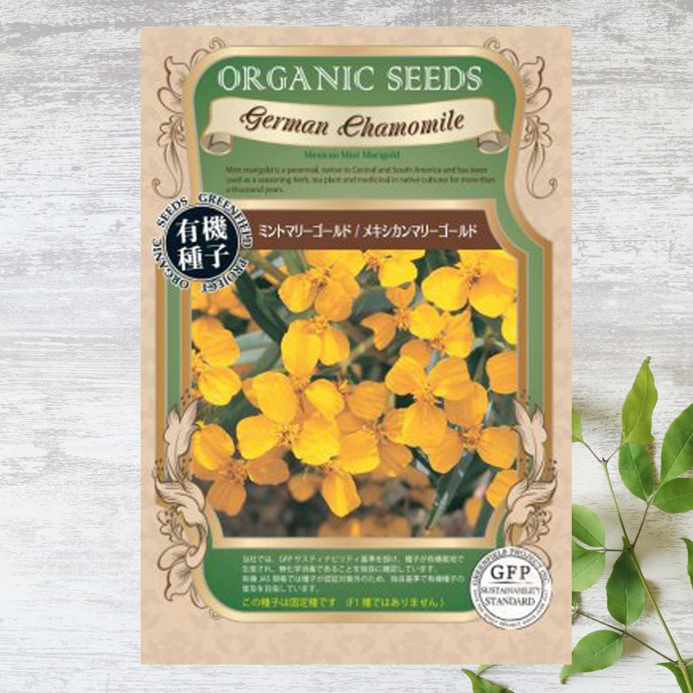 マリーゴールド メキシカンマリーゴールド 