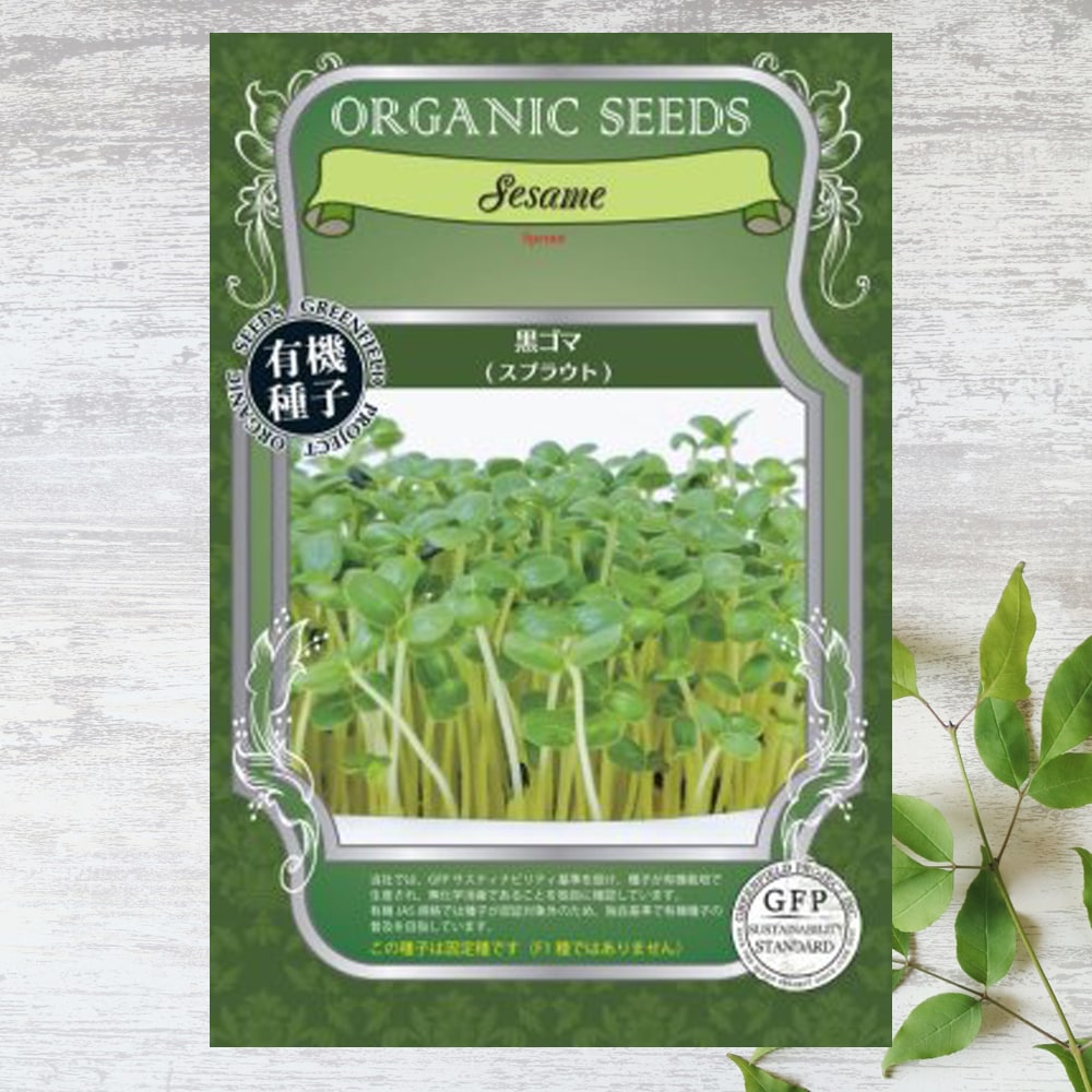 ゴマ 黒ゴマ（スプラウト） 