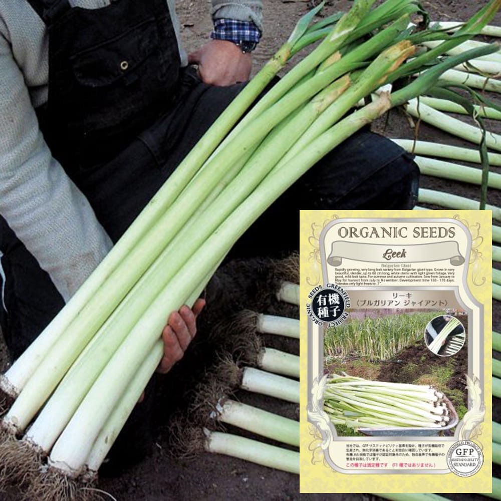 リーキ ブルガリアンジャイアント 