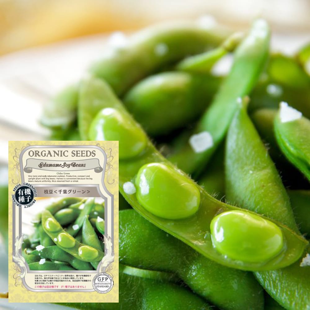 枝豆 千葉グリーン 