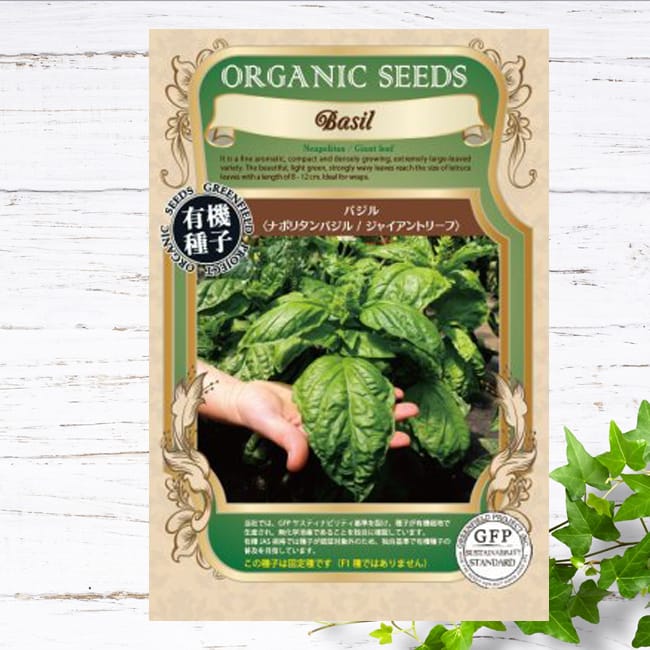 バジル ナポリタンバジル 