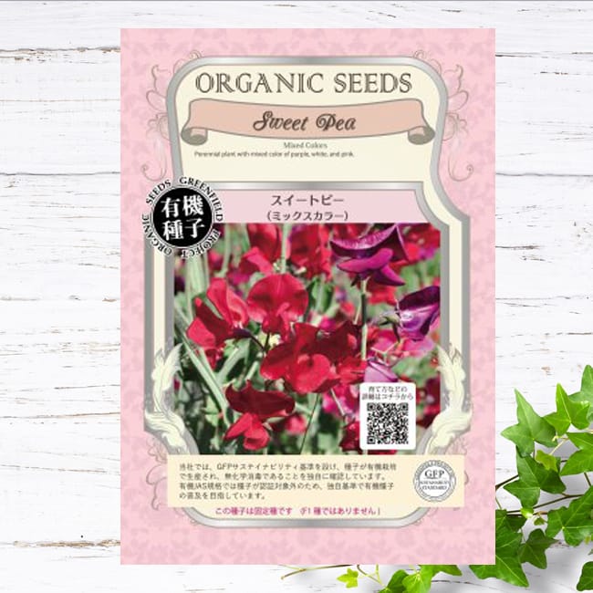 スイートピー ミックスカラー 