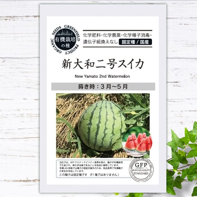 スイカ 新大和二号スイカ 