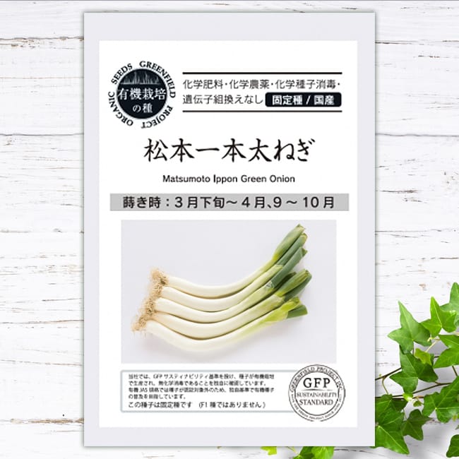 ねぎ 松本一本ねぎ 