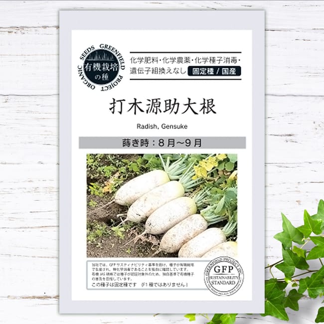 大根 打木源助大根 