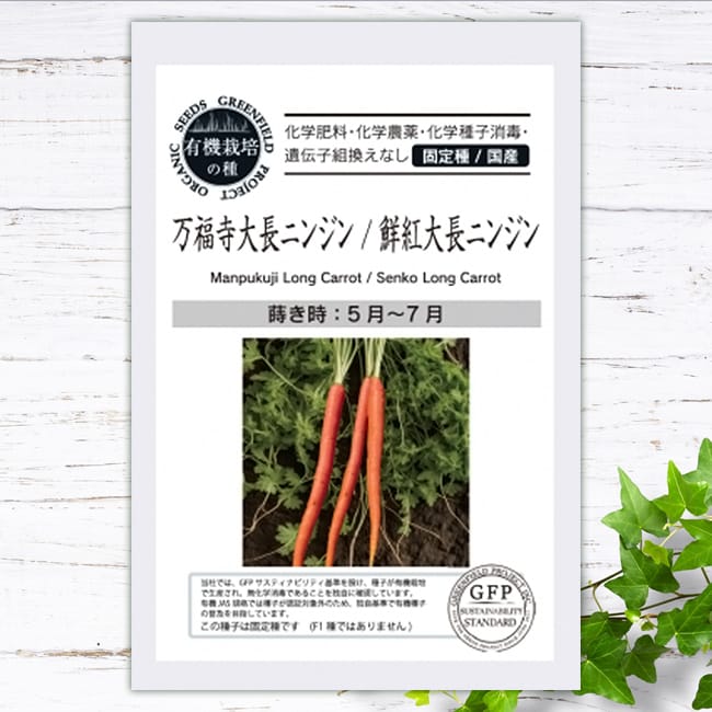 にんじん 万福寺大長ニンジン 
