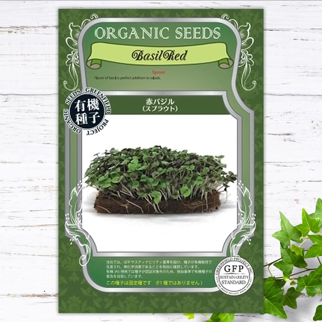 バジル 赤バジル（スプラウト） 