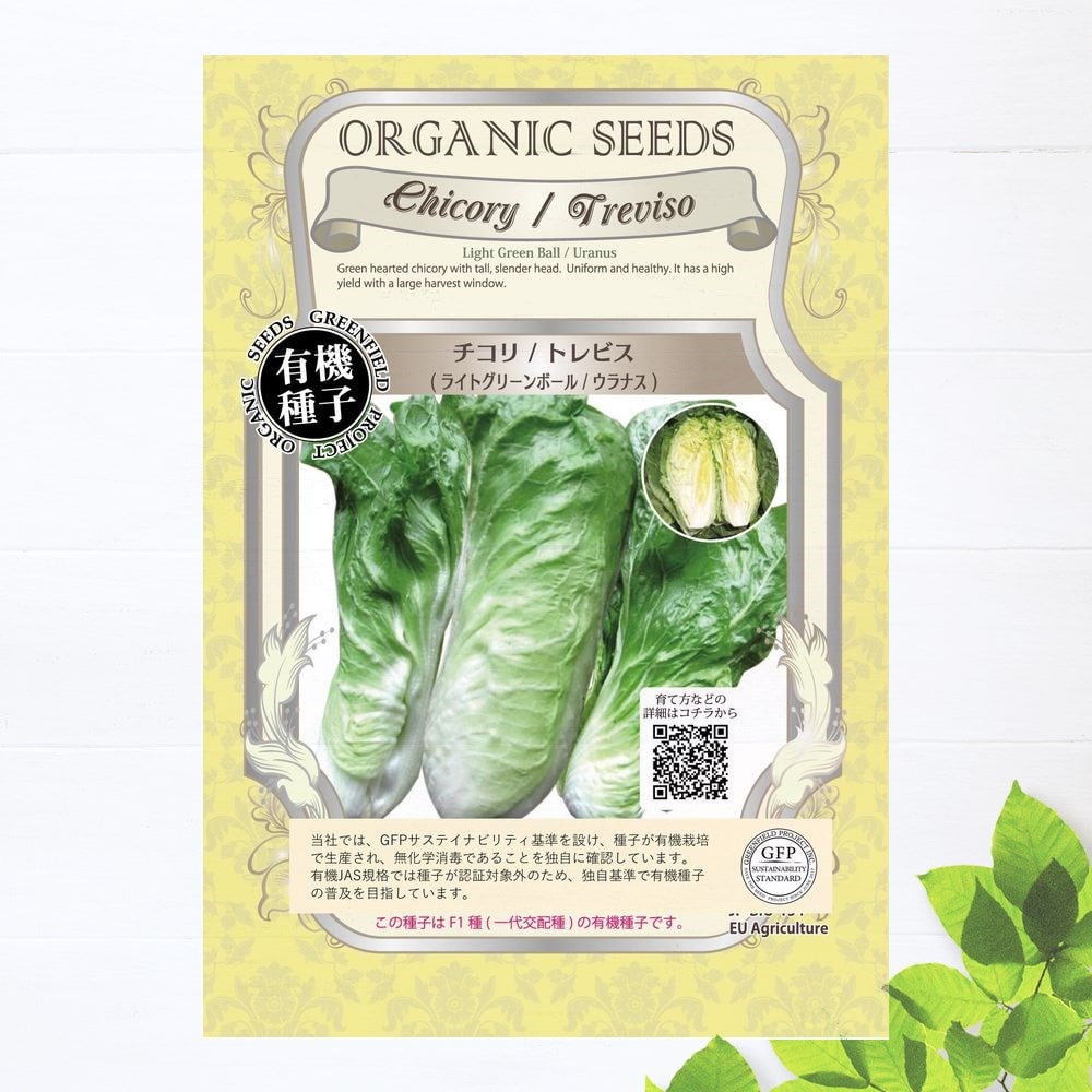 チコリ ライトグリーンボール