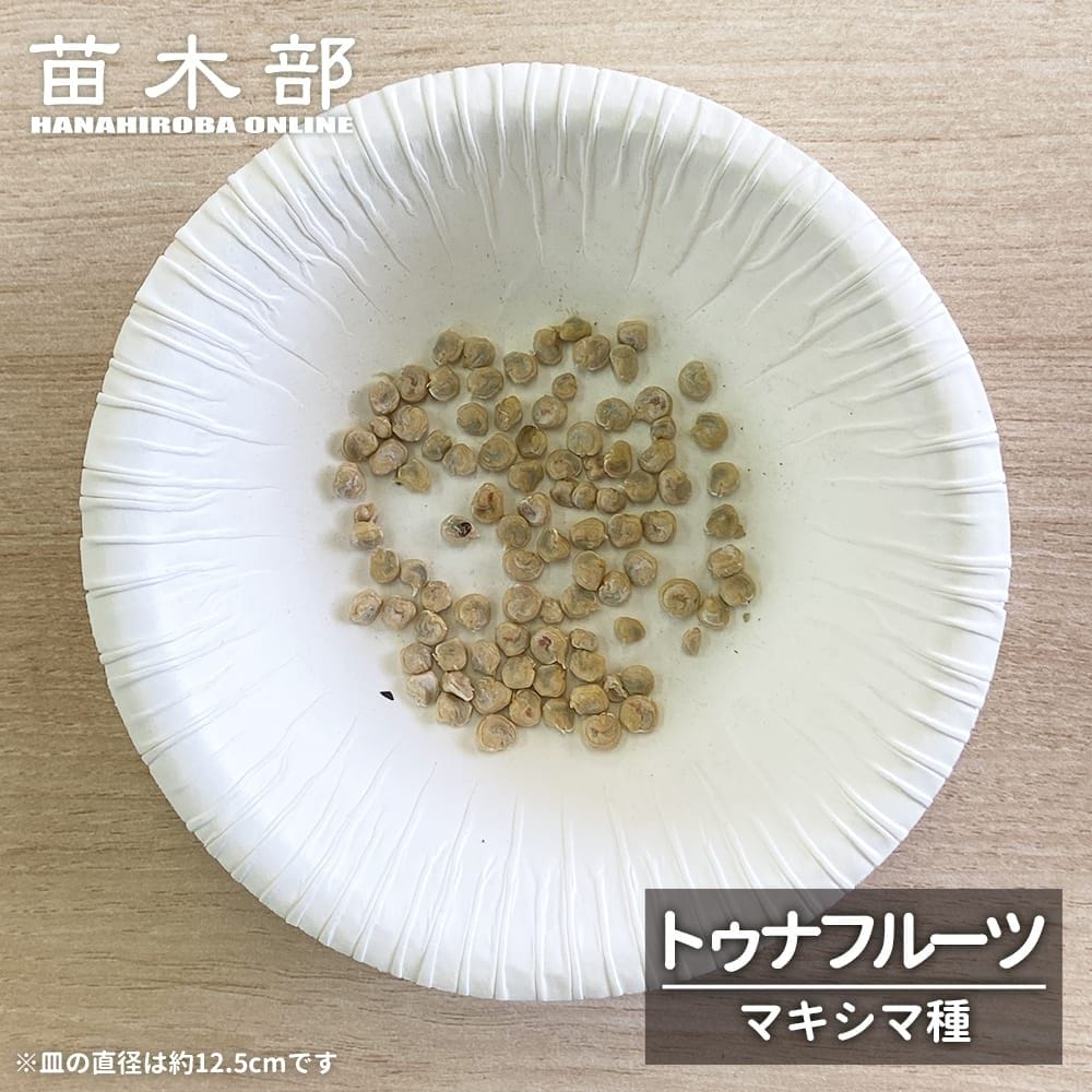 トゥナフルーツ マキシマ種 